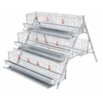 Cage-Frame-System