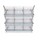 Cage-Frame-System