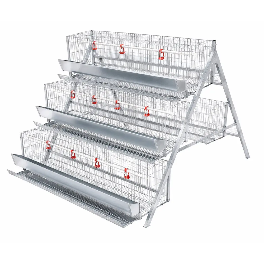 Cage-Frame-System Cage-Frame-System