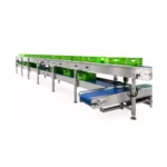 dairy-conveyor