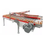 Egg-conveyor-system