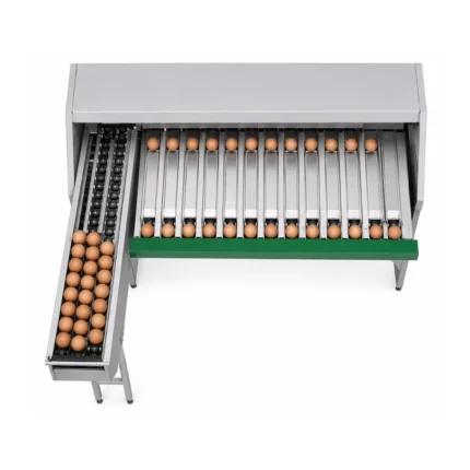 egg-grading-machine
