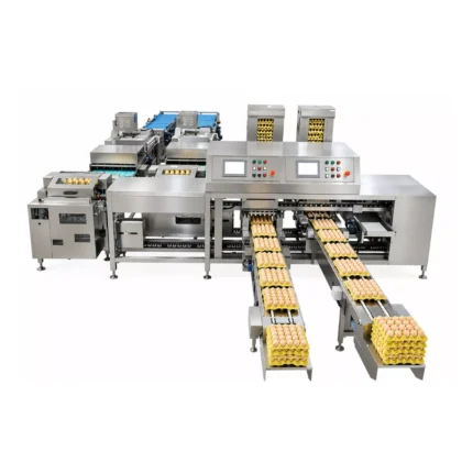 egg-packing-machine