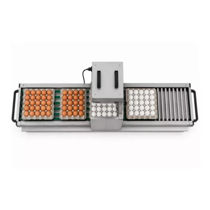 egg-printing-machine