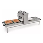 egg-printing-machine