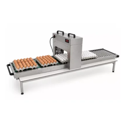 egg-printing-machine
