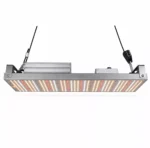 grow-light-system