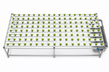 hydroponic-farming-system