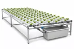 hydroponic-farming-system